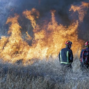 Two firefighters analyze how to put out a forest fire